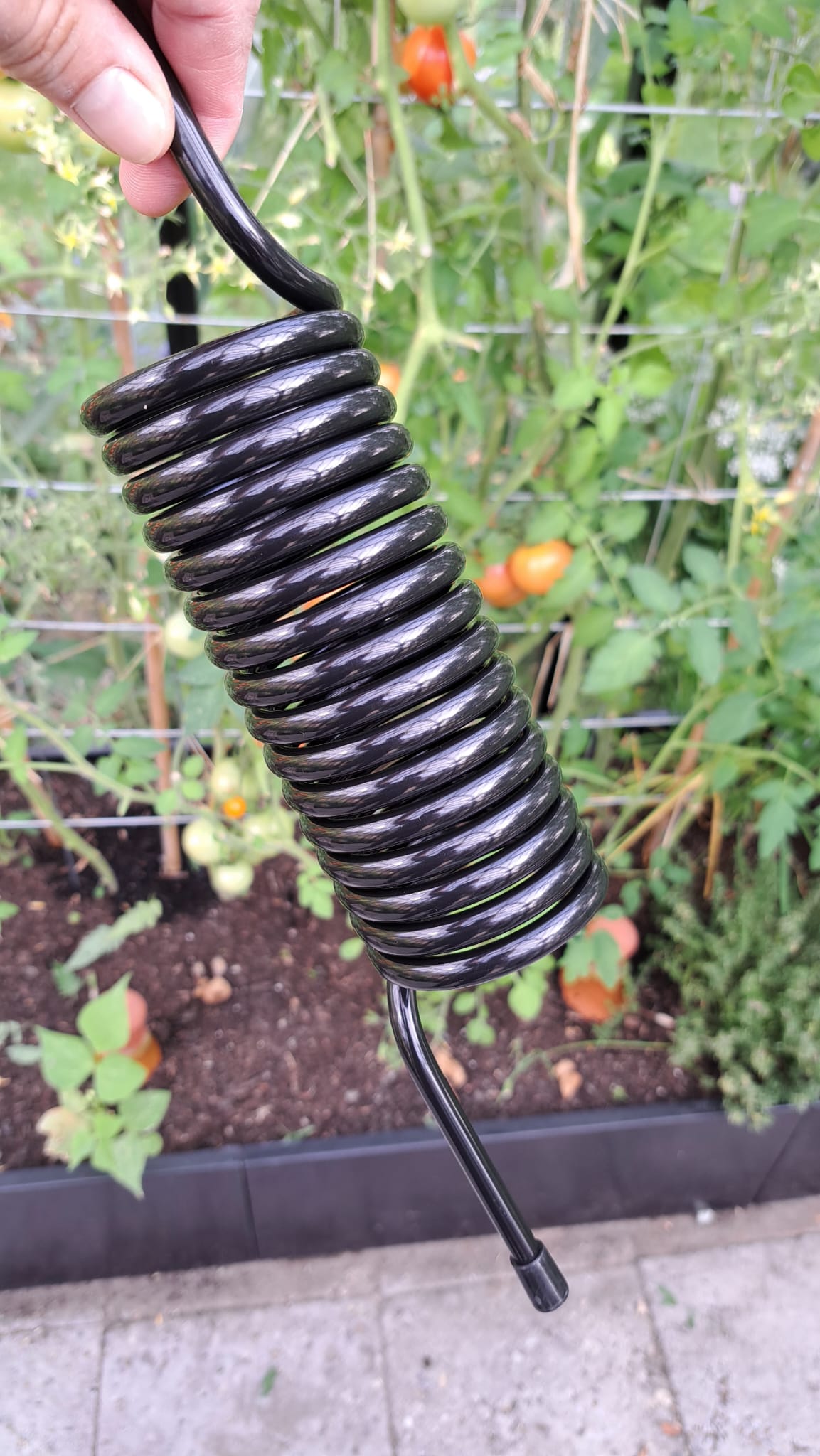 Plantspiraal