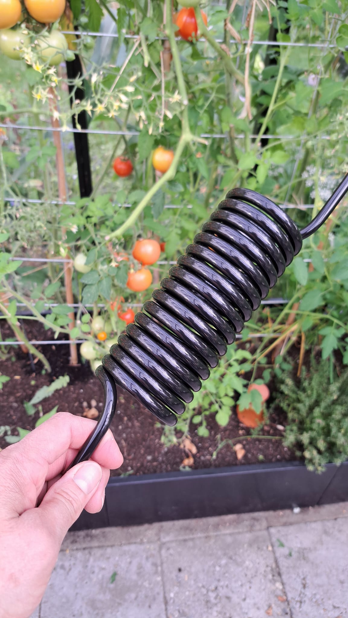 Plantspiraal