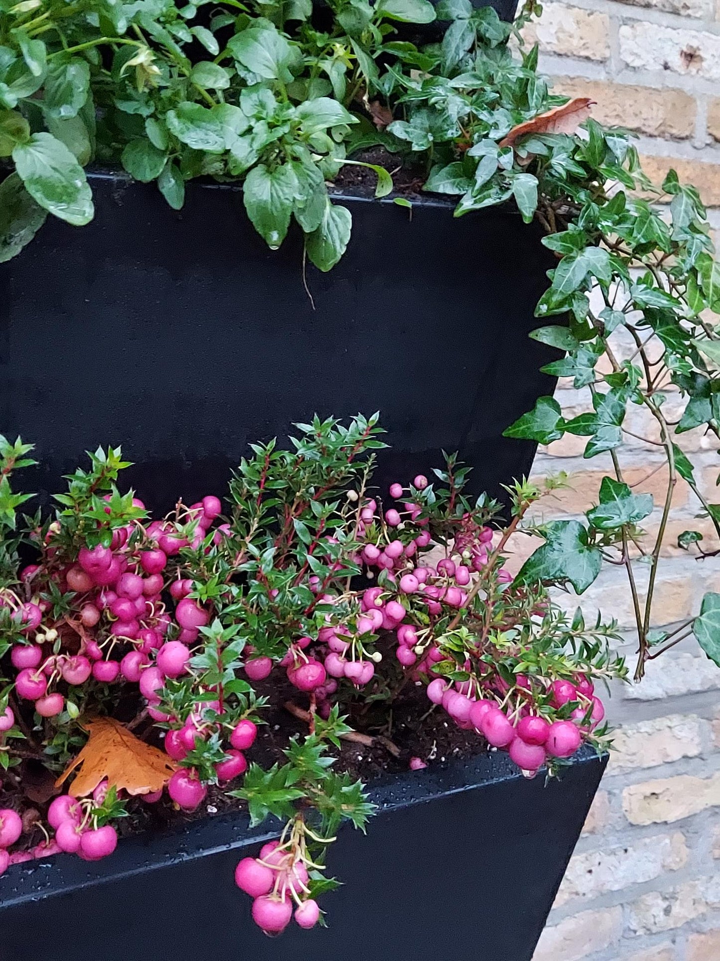 Grönfeld wandbakken GRO25 GRO50 en GRO75